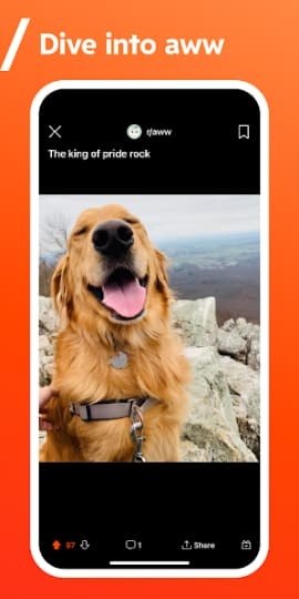 com.reddit.frontpage